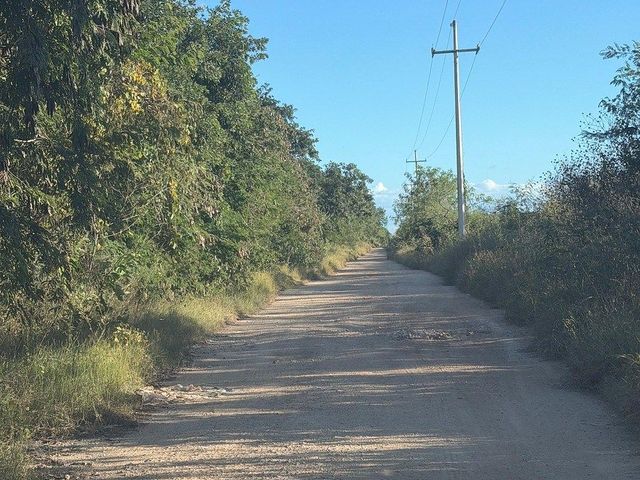 place photo 3