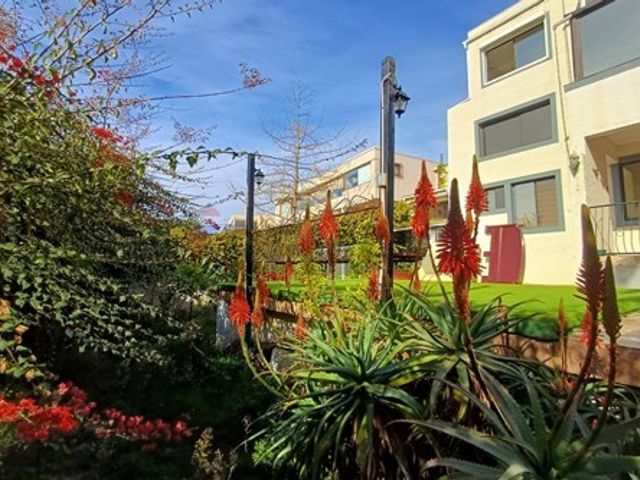 place photo 71