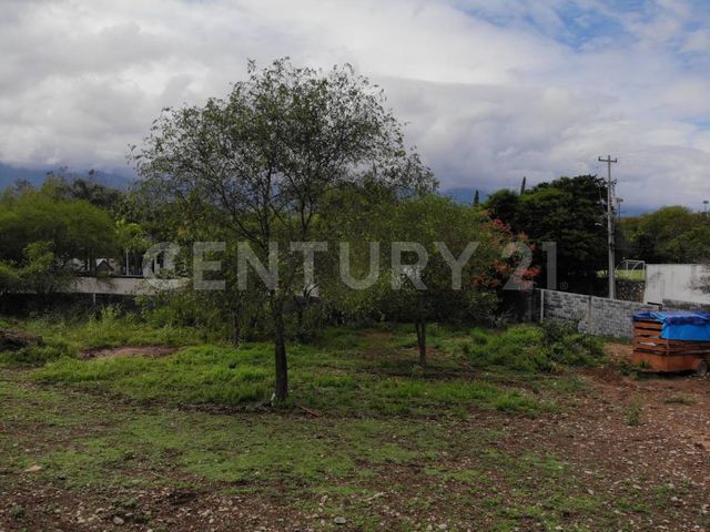 place photo 43