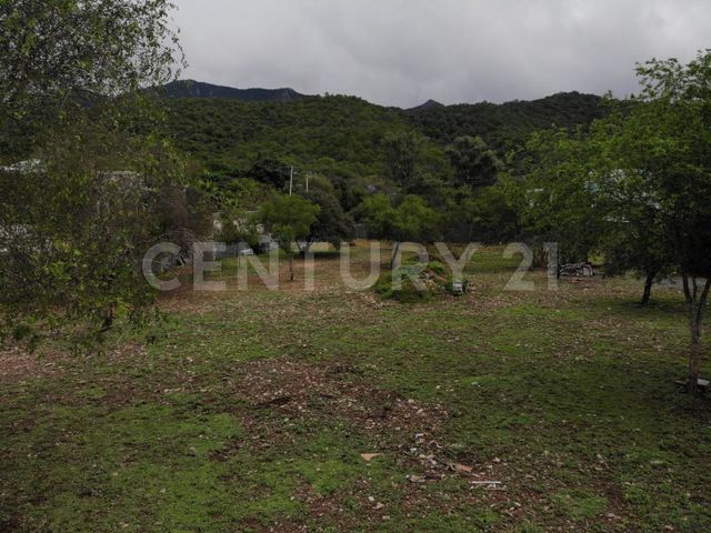 place photo 35