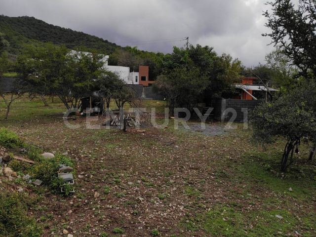 place photo 46