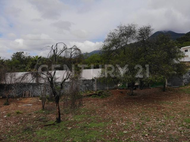 place photo 42