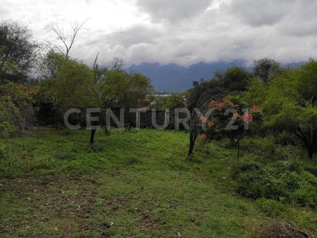 place photo 38