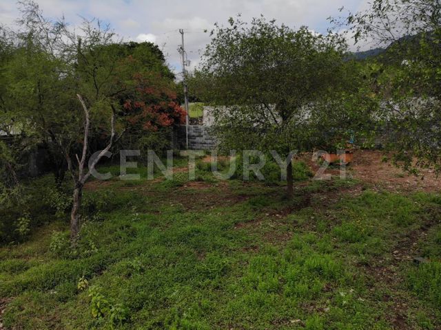 place photo 40