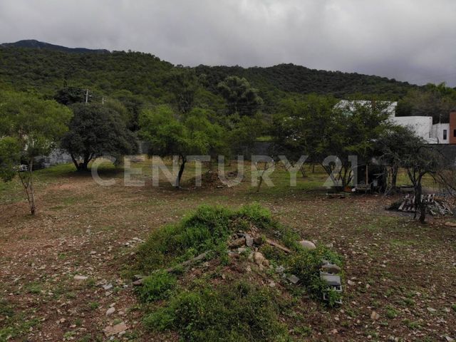 place photo 41