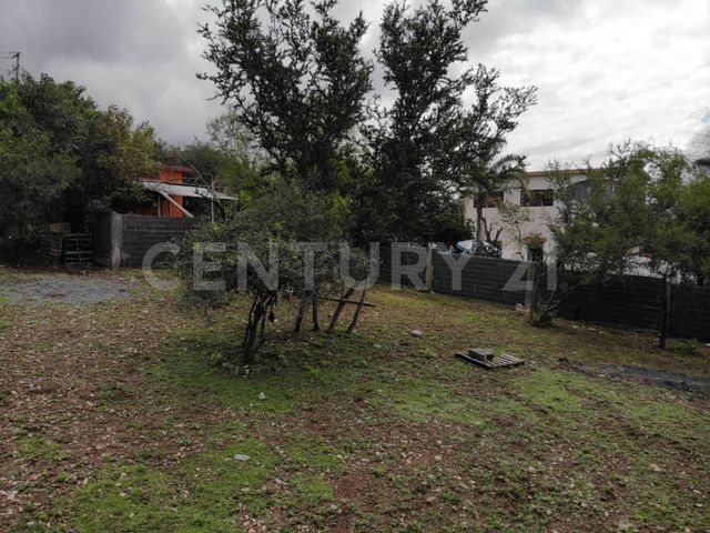 place photo 45