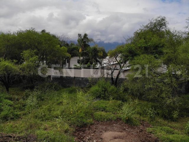 place photo 39