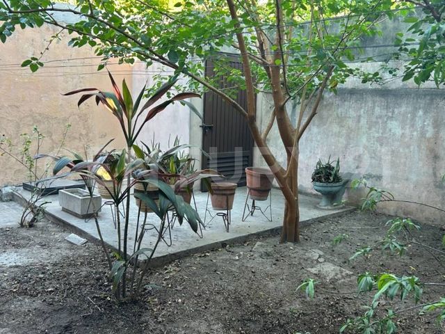 place photo 40