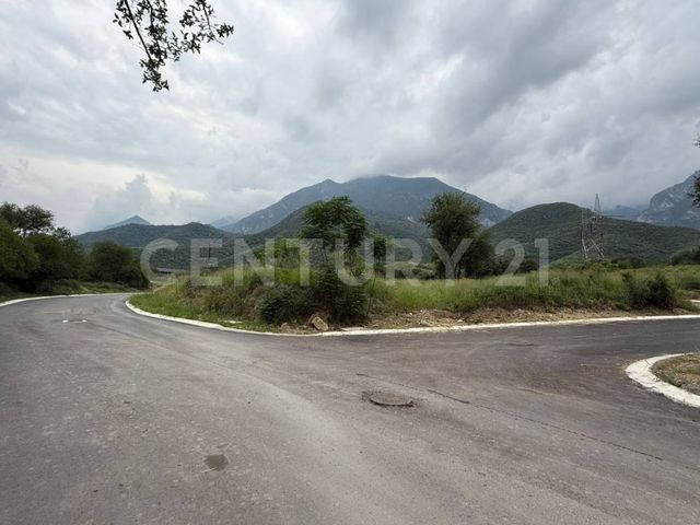 place photo 30