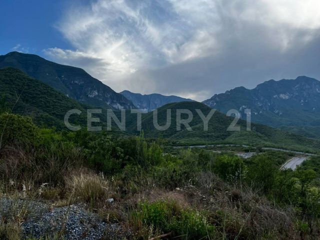 place photo 27