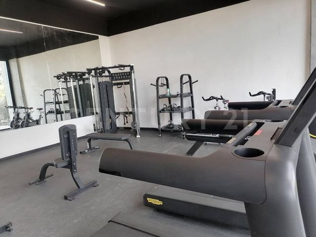 place photo 34