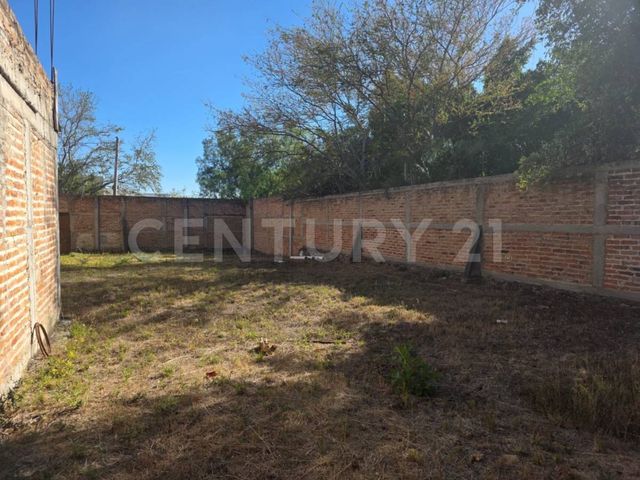 place photo 17