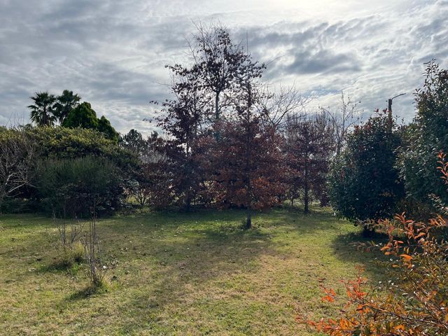 place photo 36