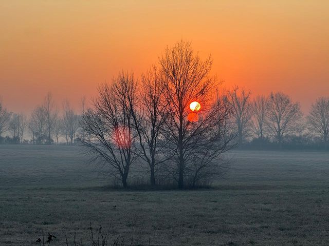 place photo 47
