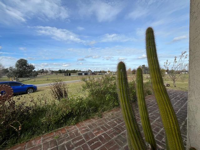 place photo 42