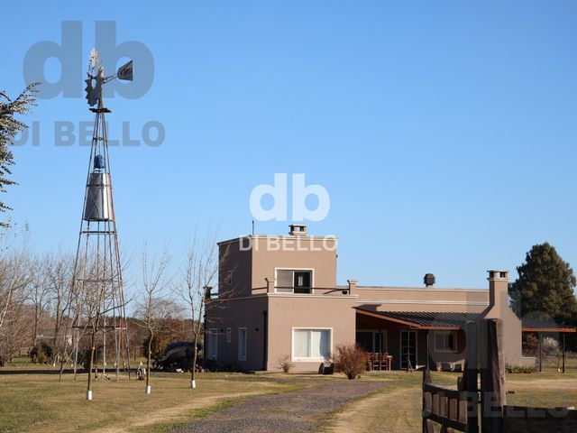place photo 32