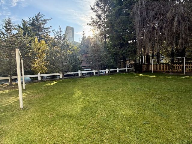 place photo 45