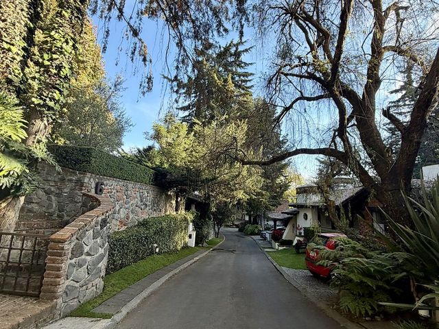 place photo 43