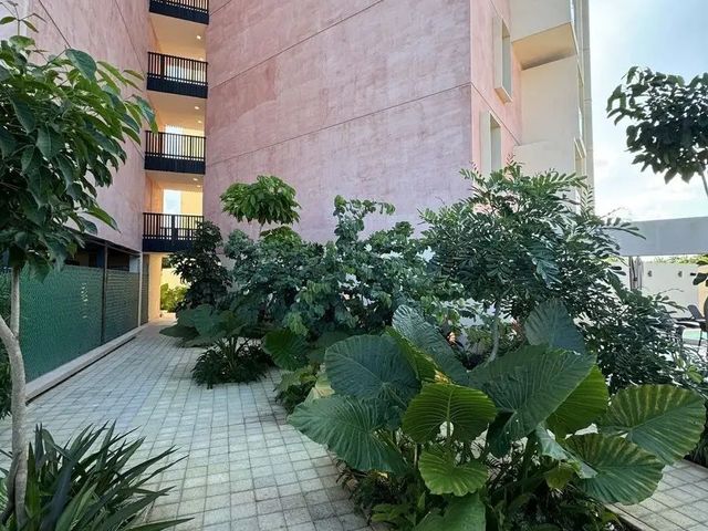 place photo 30