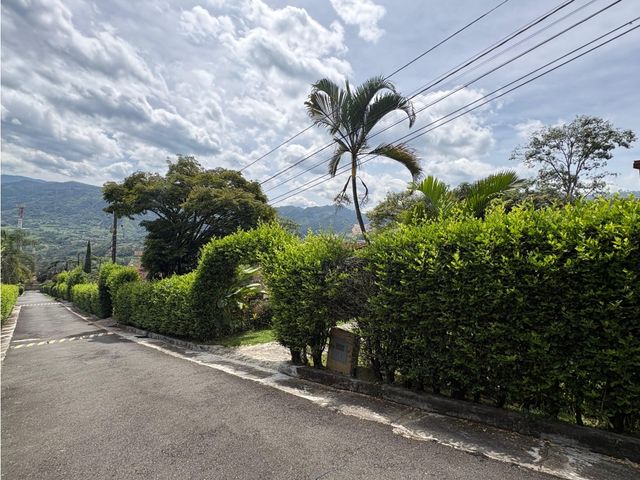 place photo 39
