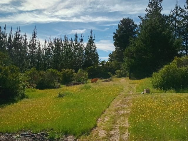 place photo 25