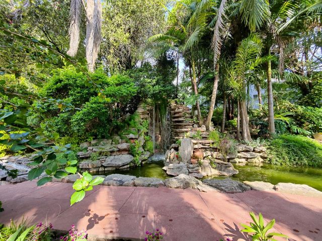 place photo 36
