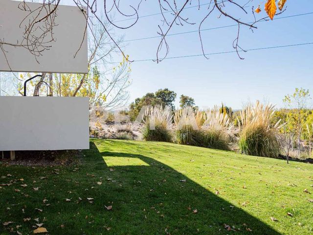 place photo 76