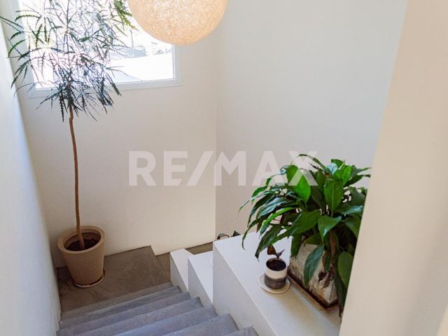 place photo 67