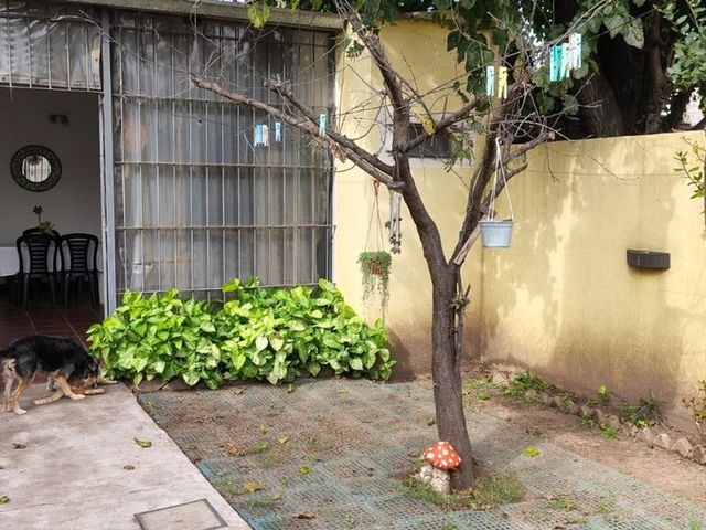 place photo 19
