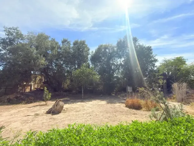 place photo 13