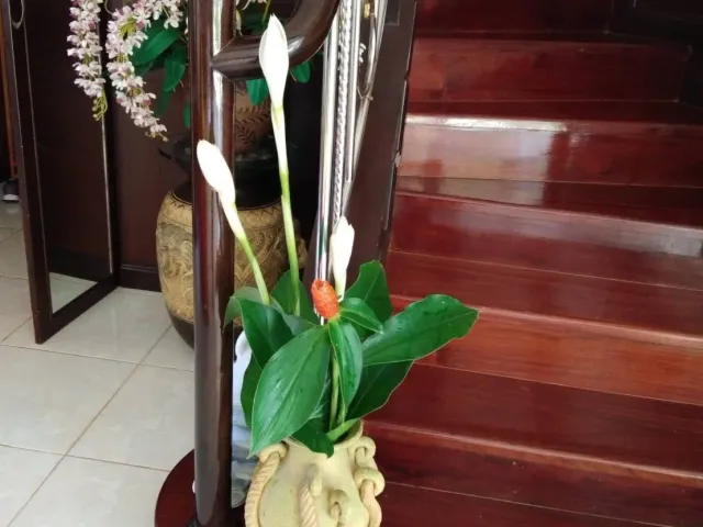 place photo 64