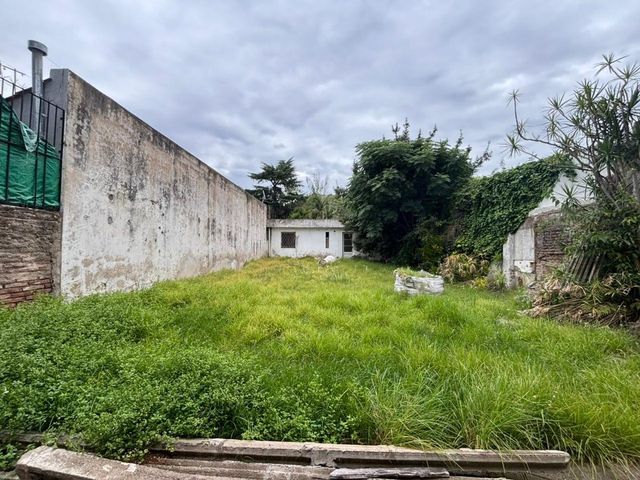 place photo 19