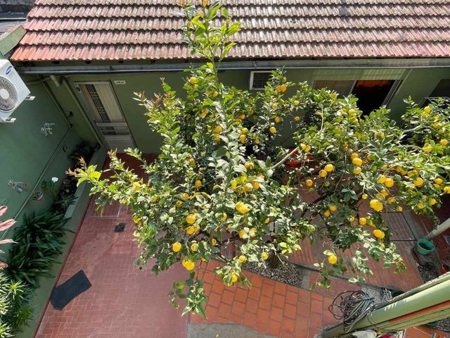 place photo 34