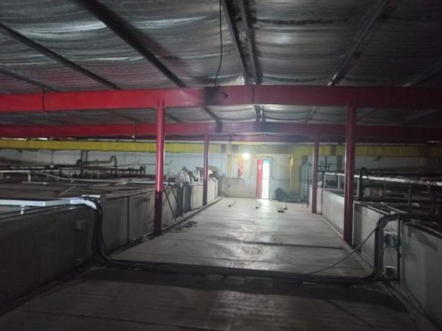 place photo 39