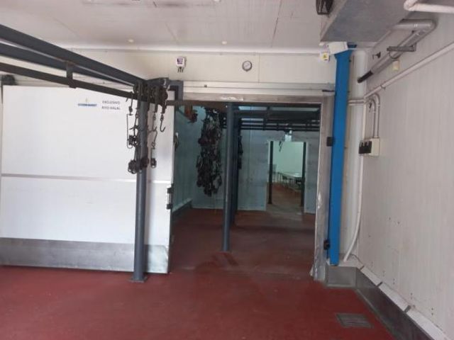 place photo 40