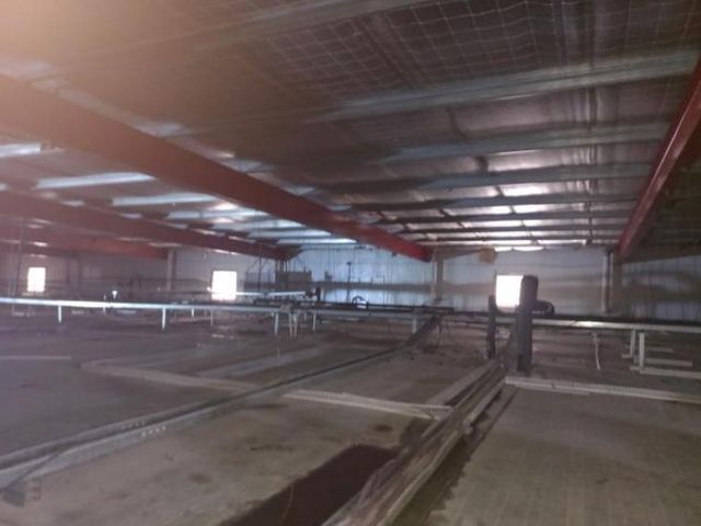 place photo 37