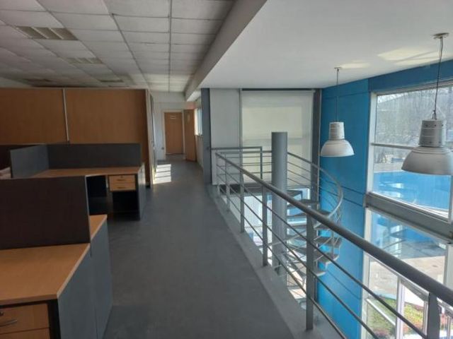 place photo 34