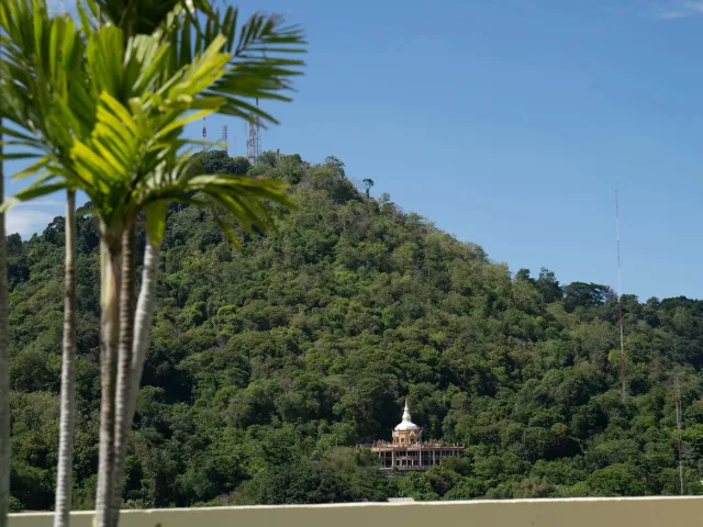 place photo 19
