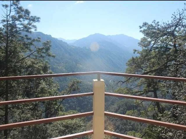 place photo 32