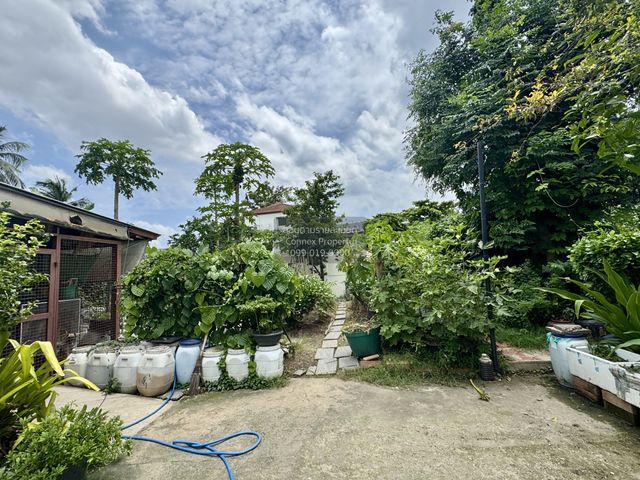 place photo 57