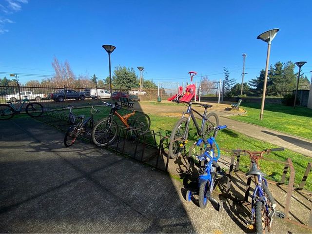 place photo 23