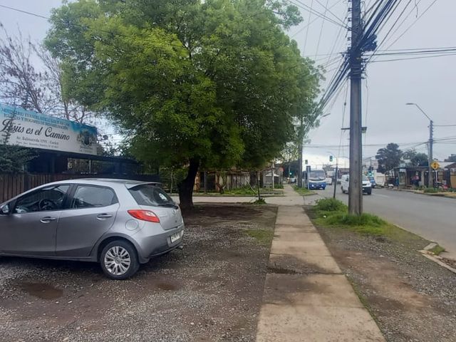 place photo 11