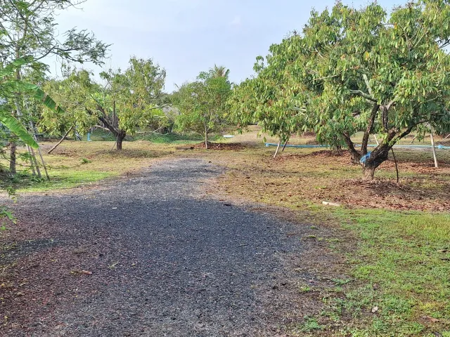 place photo 15