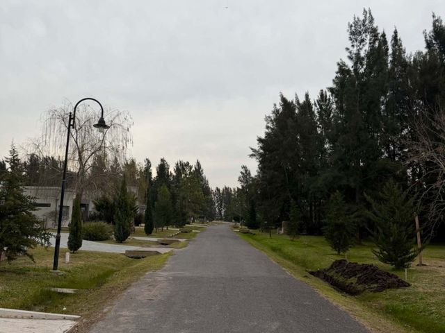 place photo 30