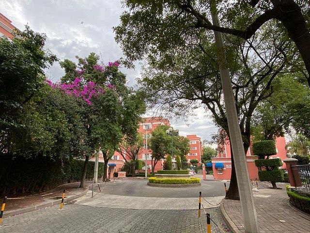 place photo 31