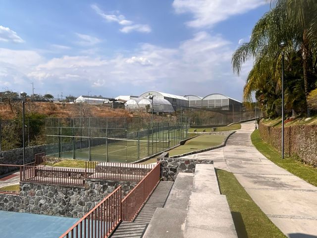 place photo 25