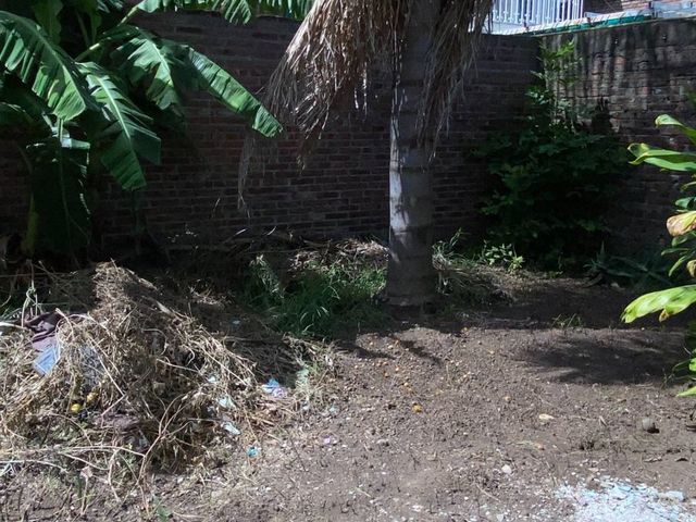 place photo 26