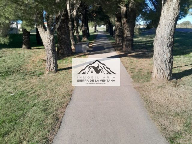 place photo 46