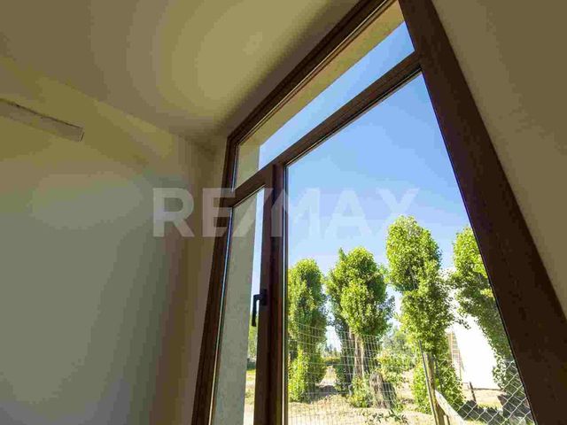 place photo 49