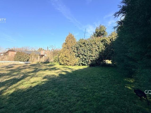 place photo 40